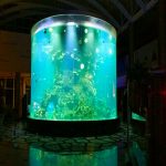 চীন কাস্টম সস্তা সুপার বড় বৃত্তাকার PMMA গ্লাস Aquariums পরিষ্কার সিলিন্ডার এক্রাইলিক মাছ ট্যাংক