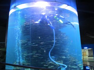 Aquariums বা মহাসাগর পার্ক জন্য বড় মাছ ট্যাংক পরিষ্কার এক্রাইলিক সিলিন্ডার