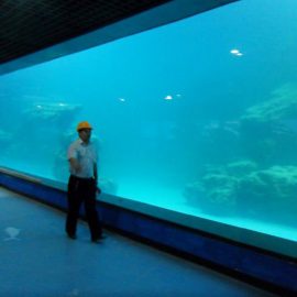 Aquarium / oceanarium জন্য কাস্ট প্রাচীর UV এক্রাইলিক প্যানেল